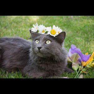 Meet your Posher, Linda